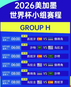 世界杯实时比分 买球站 2026